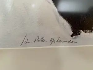 Jan Peter van Opheusden - Naakt kopen? Bied vanaf 200!