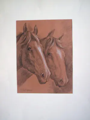 Gerard Post Greve - paardenhoofden. kopen? Bied vanaf 75!