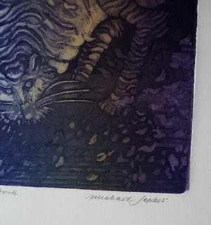 Michael Jepkes - Ets/aquatint - Zodiac Waterman kopen? Bied vanaf 49!