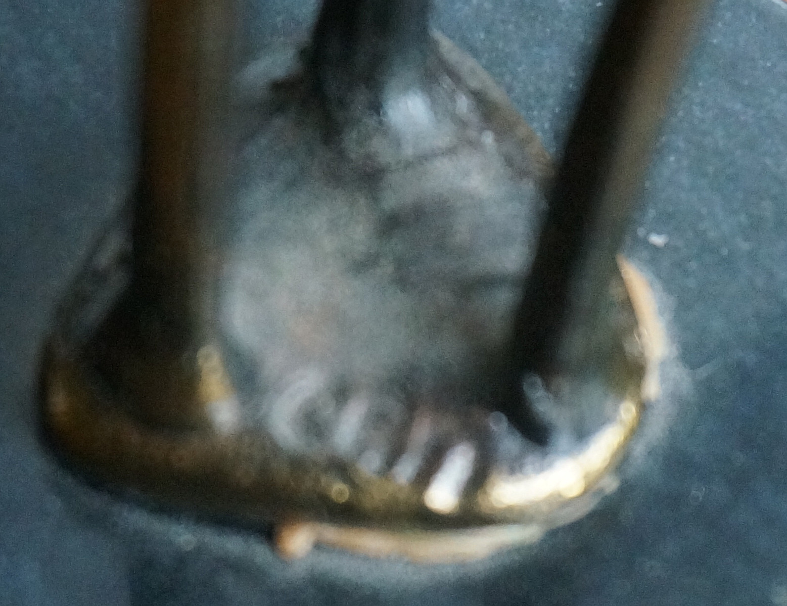 Corry Ammerlaan - Feestje kopen? Bied vanaf 13!