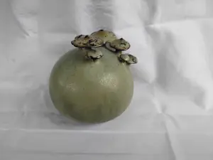 Iet Cool-Schoorl - Bolvorm met paddestoelen kopen? Bied vanaf 120!