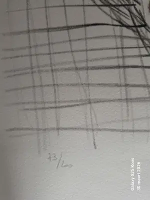 David Stein - D'apres Picasso kopen? Bied vanaf 150!