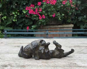 Hetty Heyster - C4830-4D, Spelende welpjes kopen? Bied vanaf 550!