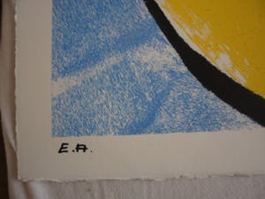 Herman Brood - Zeldzame hand gesigneerde zeefdruk : 'Ramp' kopen? Bied vanaf 175!
