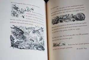 Dirk van Gelder - De Scheppingsdagen, met 16 houtgravures - extra: catalogus in kleur, 1987 kopen? Bied vanaf 65!