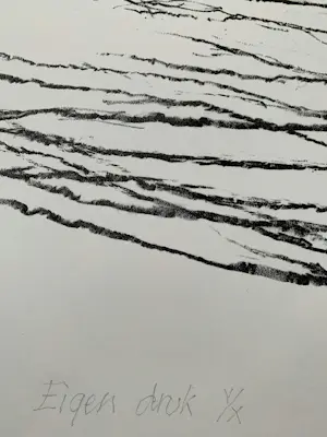 Willem den Ouden - litho De Waal 1991 nummer V/X kopen? Bied vanaf 79!