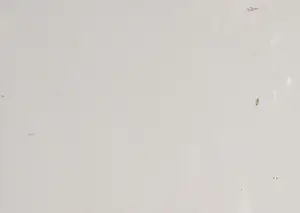 Niet of onleesbaar gesigneerd - Zeefdruk, Rechtzetting kopen? Bied vanaf 1!