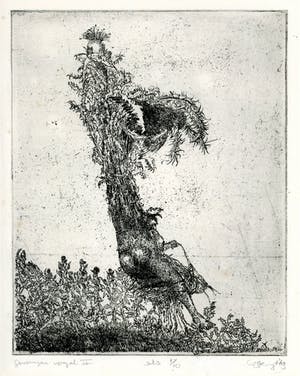 Hans Kuyt - Gevangen vogel II - oplage 1/10 kopen? Bied vanaf 75!