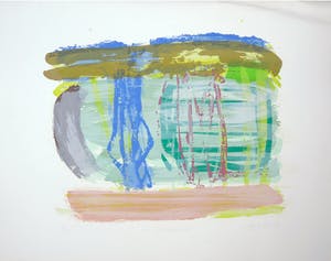 Darja Vos - Litho, En duenmevela kopen? Bied vanaf 1!