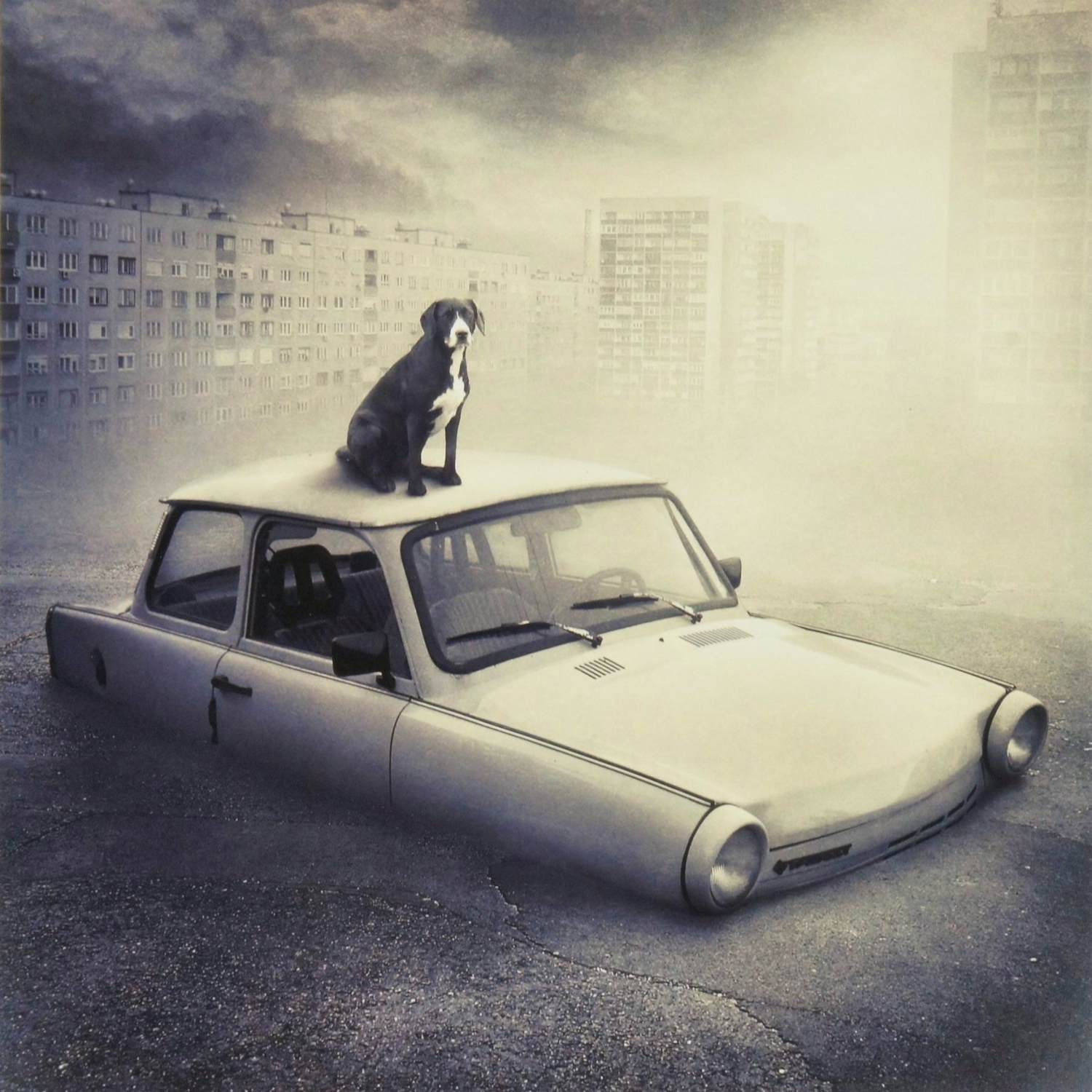 AcheterSarolta Bàn - 'Fidelity' (2012)? Enchérissez de 80!