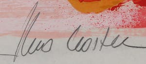 Theo Koster - Zeefdruk, Zonder titel - Ingelijst kopen? Bied vanaf 1!