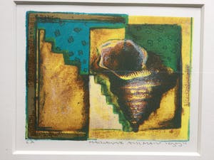 Marianne Aulman - 2 litho's Schelpen | kleine oplage - beide identiek ingelijst kopen? Bied vanaf 39!