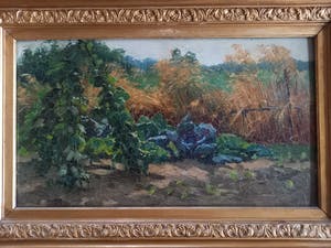 Johannes Cornelis Pabst - rode kool en spruiten in moestuin kopen? Bied vanaf 100!