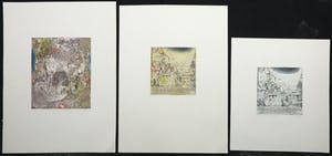 Anneke van der Mandele - Jan van Winkel, Anneke Minter e.a., Lot van 19 etsen en een litho kopen? Bied vanaf 60!