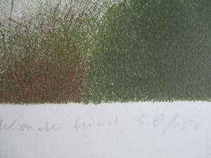 Wout Muller - Litho Wonderkind kopen? Bied vanaf 50!