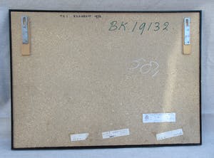 Steven van der Kruit - TV I. kopen? Bied vanaf 75!