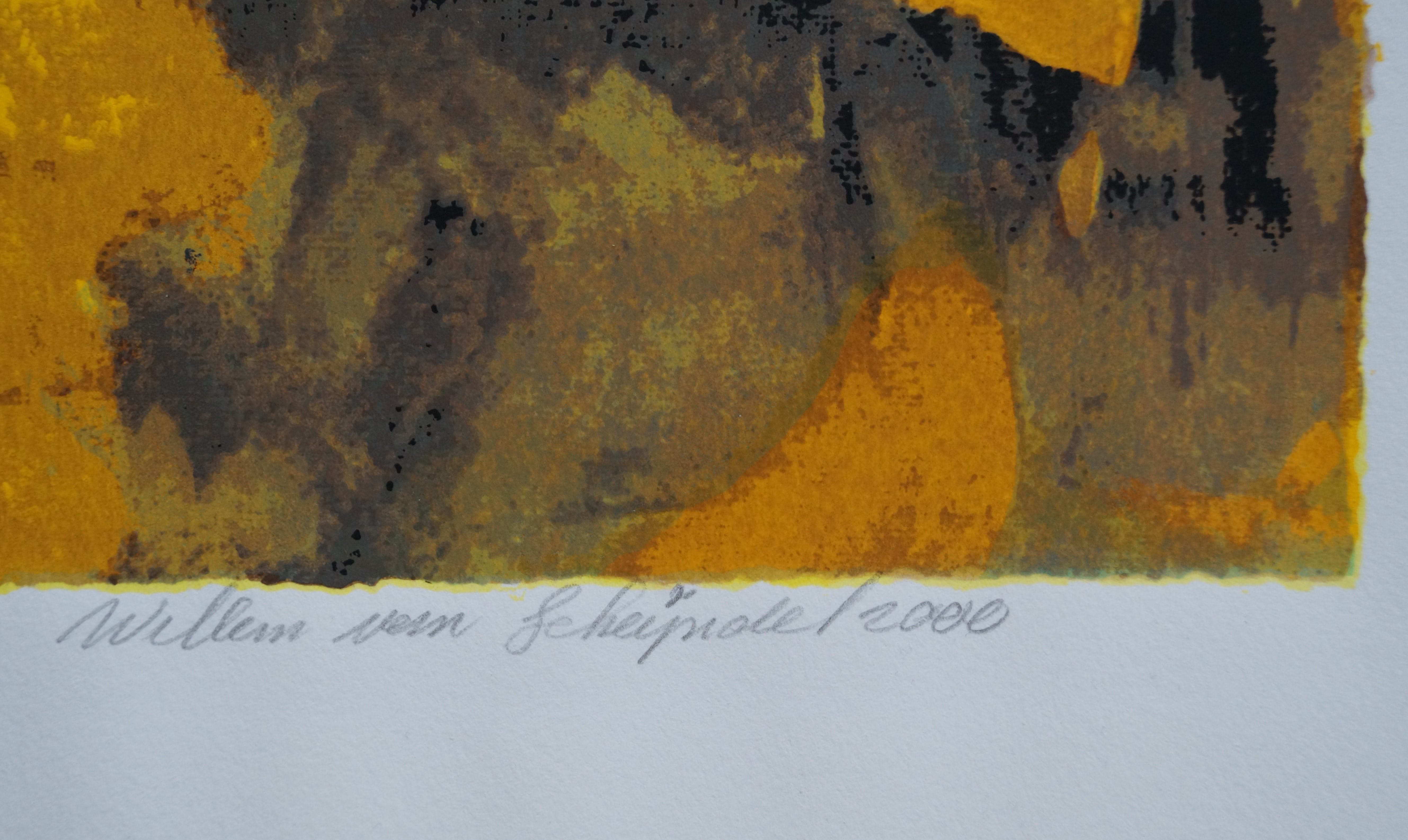 Willem van Scheijndel - Stories about the baobab - grote zeefdruk kopen? Bied vanaf 80!