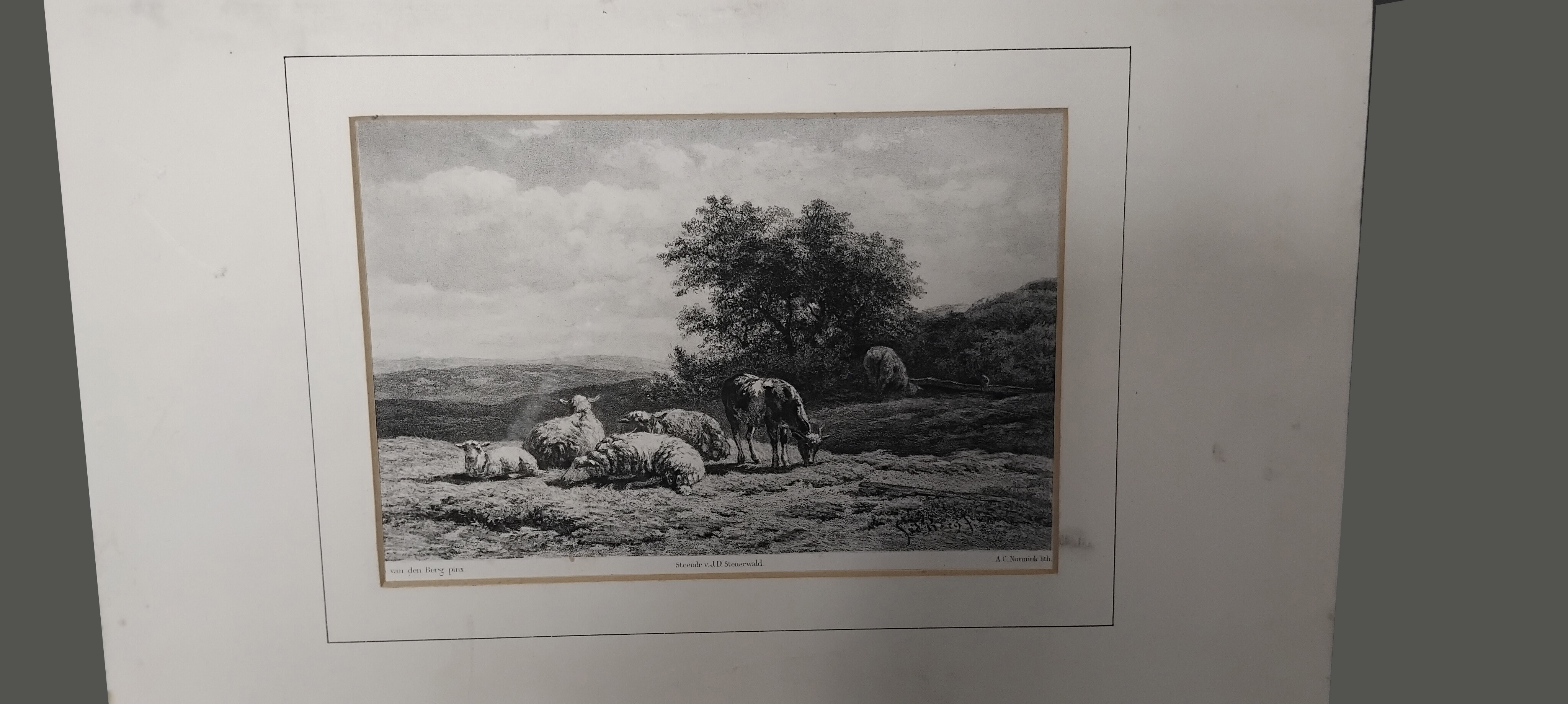 Adolf Carel Nunnink (1813-1894)