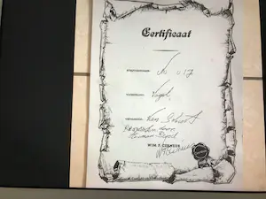 Wim Cerneus - Koopje : Prachtig beeld van een vogel , beschilderd door Herman Brood kopen? Bied vanaf 750!