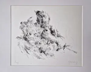Jan Mensinga - unieke jaren 80 proefdruk monochrome lithografie "man met haan" kopen? Bied vanaf 35!