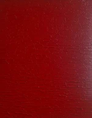 Bruno CANTAIS - RED PASSION kopen? Bied vanaf 420!