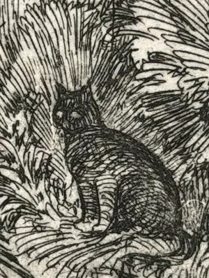 Ank Spronk - Poezen in de maneschijn kopen? Bied vanaf 20!