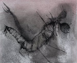 Dirkje Kuik - aquarel/tekening Aram en de bende van de boomstam" + boek waarin tekening staat kopen? Bied vanaf 175!