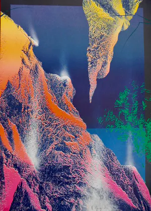 Vincent Mengin-Lecreult - Evolution kopen? Bied vanaf 35!