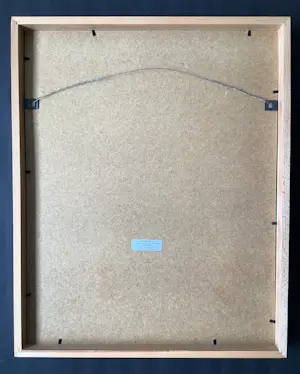 Diana van Hal - Breezy Night kopen? Bied vanaf 45!