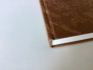 Rembrandt van Rijn - Etchings - boek kopen? Bied vanaf 50!