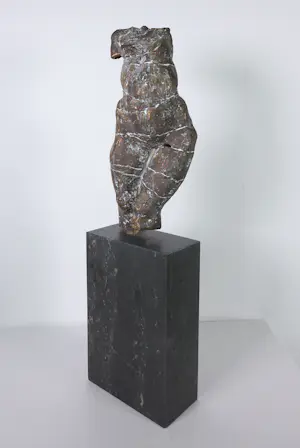 Gerard Engels - Brons, Vrouwentorso op hardstenen voet + 3 boeken! kopen? Bied vanaf 500!