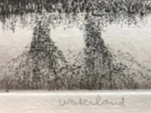 Wim van der Meij - Waterland drieluik kopen? Bied vanaf 79!