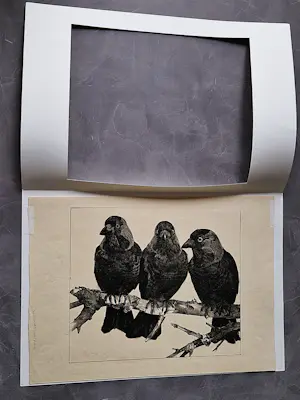 Willem Abraham Wassenaar - monochrome jaren 30 lithografie "3 kauwen op tak" potloodgesigneerd kopen? Bied vanaf 34!