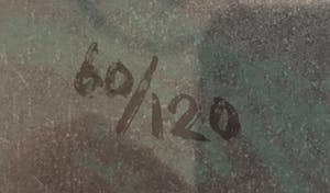 Nico Molenkamp - Vlucht - Zeefdruk - 60/90 - Handgesigneerd - Ingelijst kopen? Bied vanaf 20!