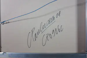 Carolina Paulussen - Acryl op doek, Rozen (Zeer groot) kopen? Bied vanaf 150!