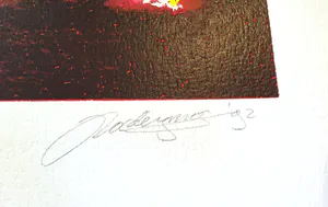 Jan Radersma - Merah kopen? Bied vanaf 30!