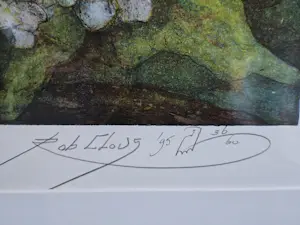 Rob Clous - Regenwoud XX kopen? Bied vanaf 275!