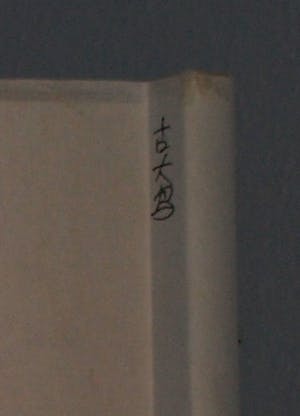 Niet of onleesbaar gesigneerd - Japanse of Chinese scroll, “Vogel op tak” - Aquarelverf en inkt op papier kopen? Bied vanaf 1!