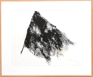 Armando - Ingelijst litho: "Fahne" - 1986(groot werk!) kopen? Bied vanaf 495!