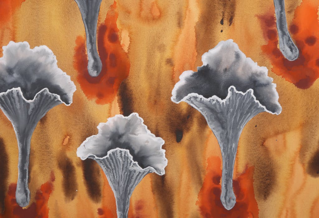 Mareike Geys - Mareike Geys: Aquarel, Brandplekcantharellen (Groot) kopen? Bied vanaf 35!