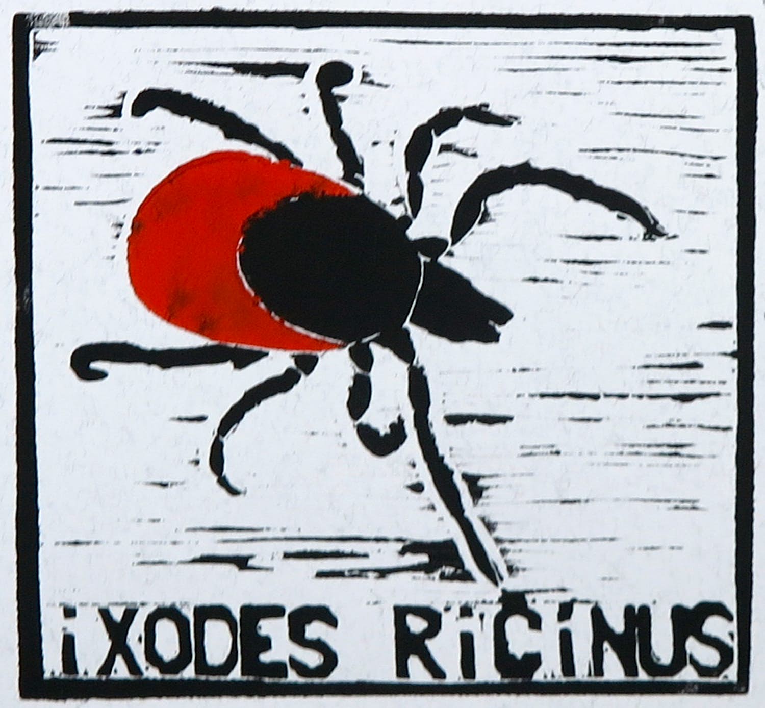 Niet of onleesbaar gesigneerd - Linosnede, Ixodes ricinus kopen? Bied vanaf 1!