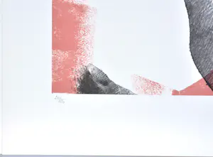 Pol Mara - Zeefdruk - Gesigneerd - 42x55 cm - 1977 kopen? Bied vanaf 120!