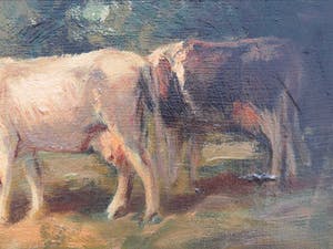 Fedor van Kregten - koeien en boer in de wei kopen? Bied vanaf 285!