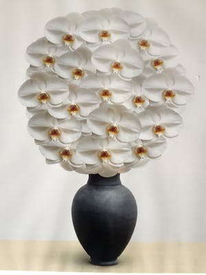Holger Niehaus - Vaas met witte orchideeën - Fotografie, Ingelijst kopen? Bied vanaf 80!