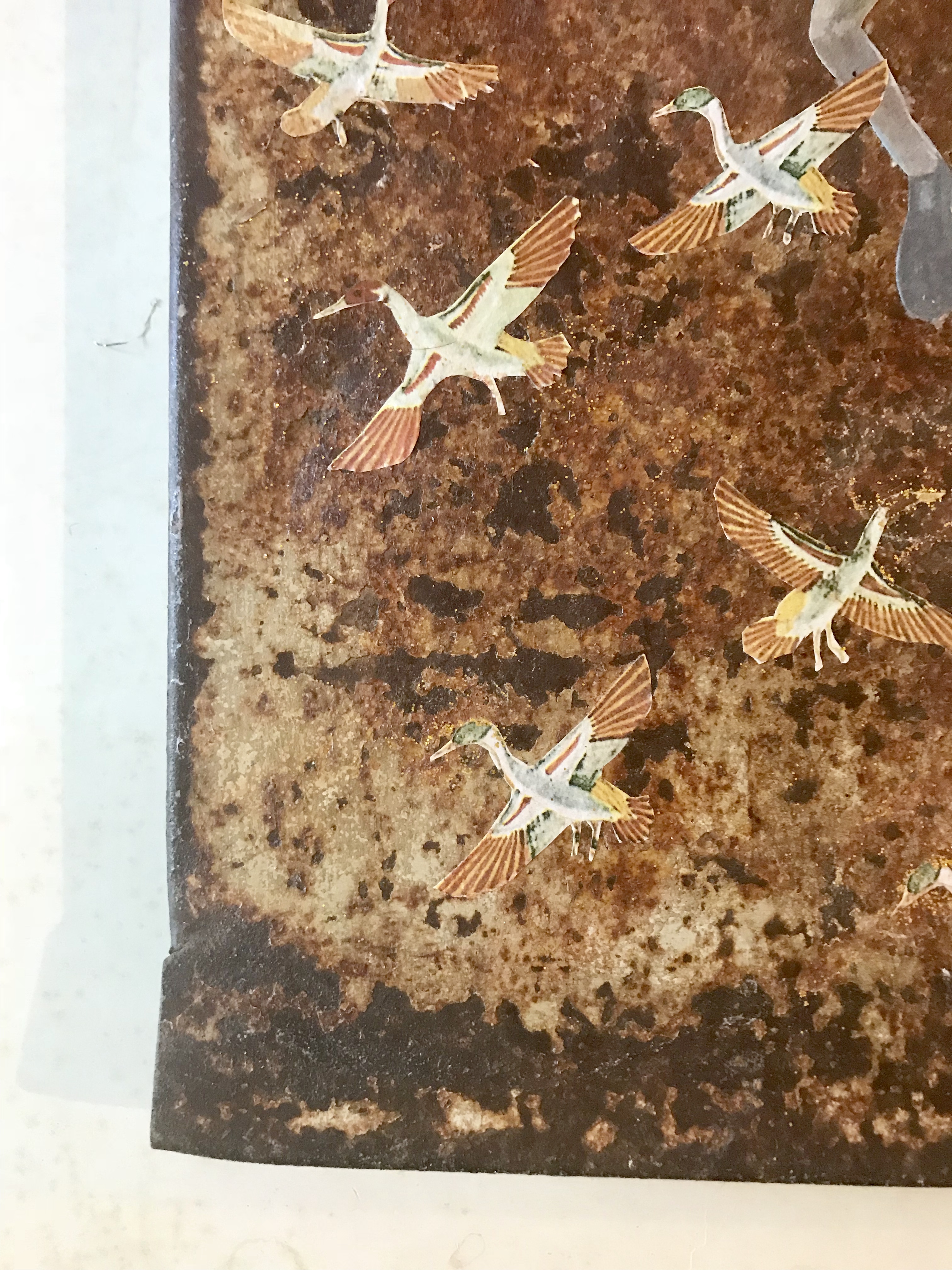 Shila Oringer - Flying High kopen? Bied vanaf 140!