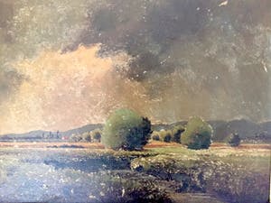 Karl Schaette - Hollands weilanden - Olieverf op paneel, Ingelijst kopen? Bied vanaf 35!