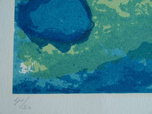 Jenny Fleur - Litho, “Abstract” – 1987 – nr. 41 / 50 kopen? Bied vanaf 1!