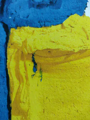 Bram Bogart - Yellow and blue kopen? Bied vanaf 500!