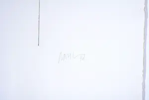 Dan Van Severen - Ets - Gesigneerd - 78x56 cm - 1973 kopen? Bied vanaf 180!