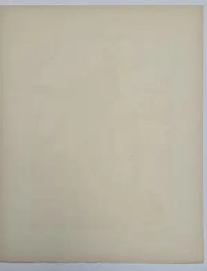 Salvador Dali - Les Margelles du Phlégéton - handgesigneerd - zeldzaam kopen? Bied vanaf 295!